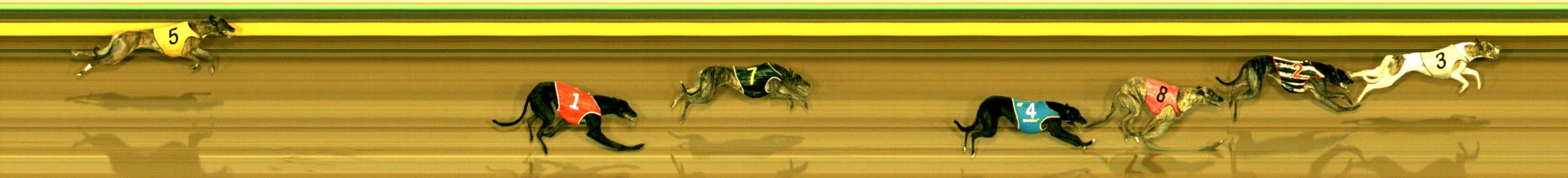 Race result finish photo